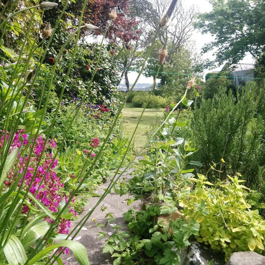 KilloughUnique Townhouse With Large Garden Down To The Sea别墅 外观 照片